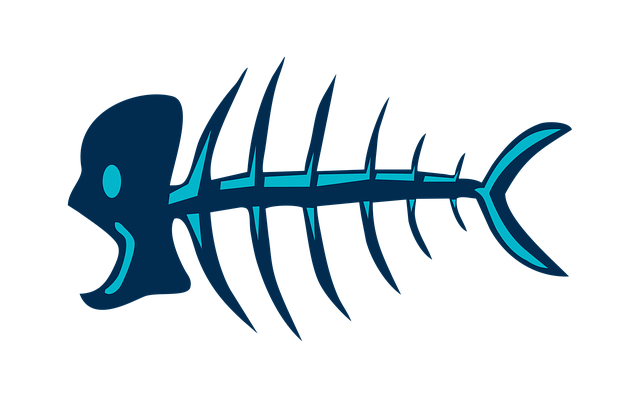 Chiropractic Spinal Alignment