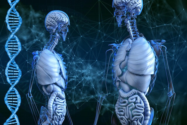 Digital Motion X-rays