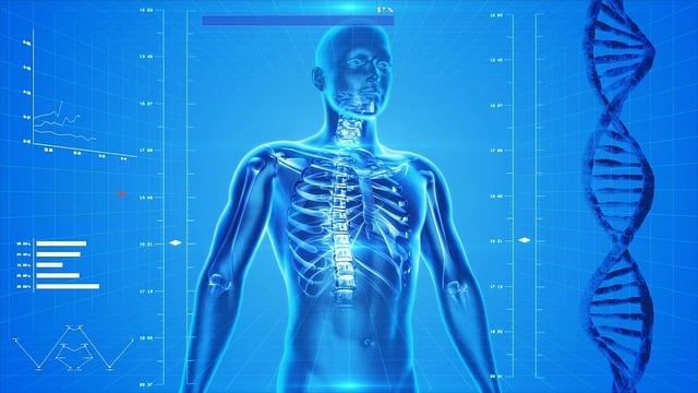 Digital Motion X-rays