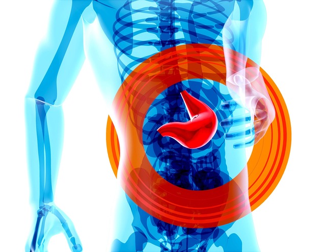 Digital Motion X-rays