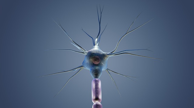 Pinched Nerves