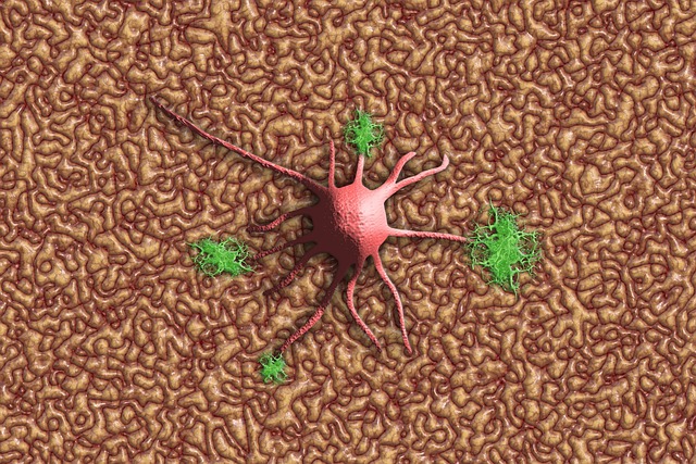 Pinched Nerves