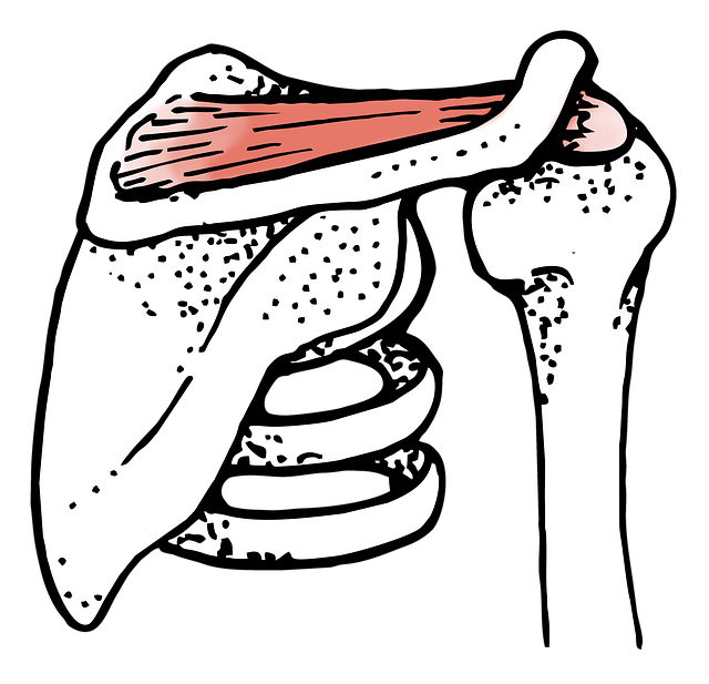 Shoulder Pain