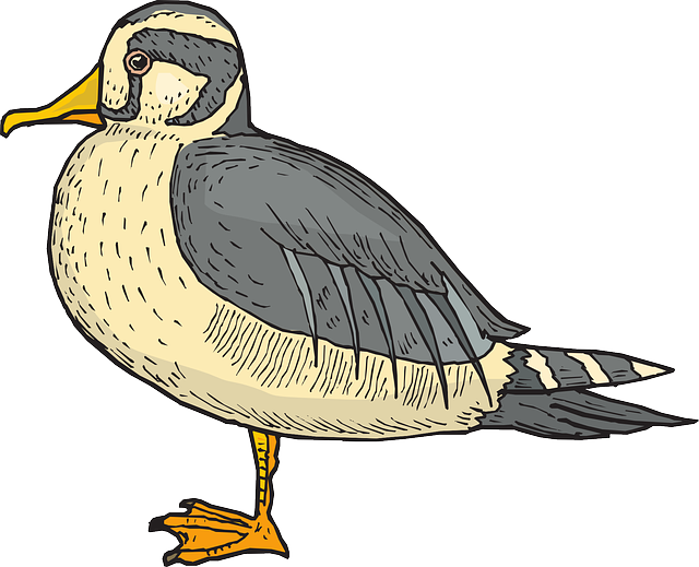 Stiff Neck