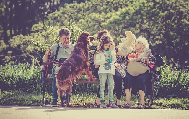 Pet Care Professionals: Sit, Walk, Love – Your Furry Friend’s Guardian Angels