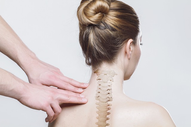 Chiropractic Spinal Alignment