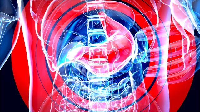 Digital Motion X-rays