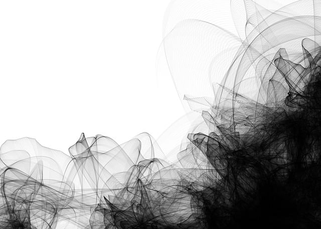 Digital Motion X-rays