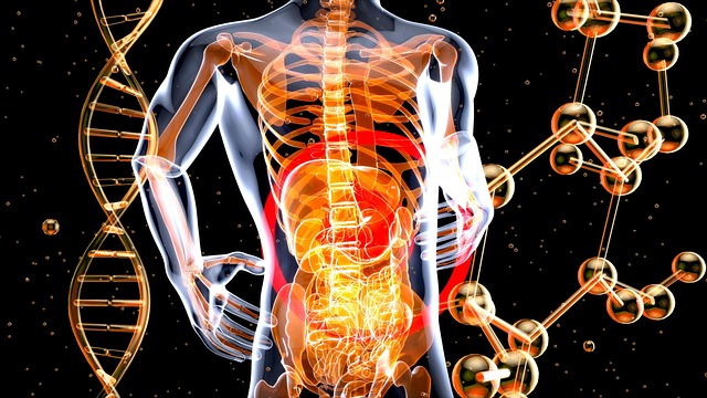 Digital Motion X-rays