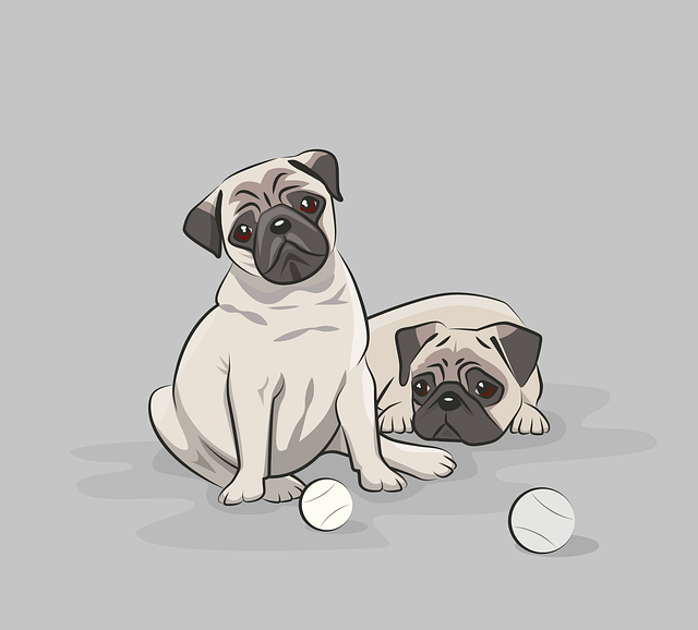 pet-sitting-640x480-29745591.png