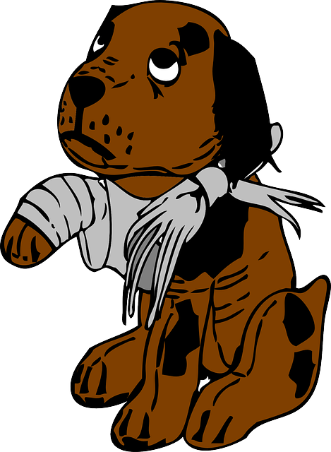 pet-sitting-640x480-46478107.png