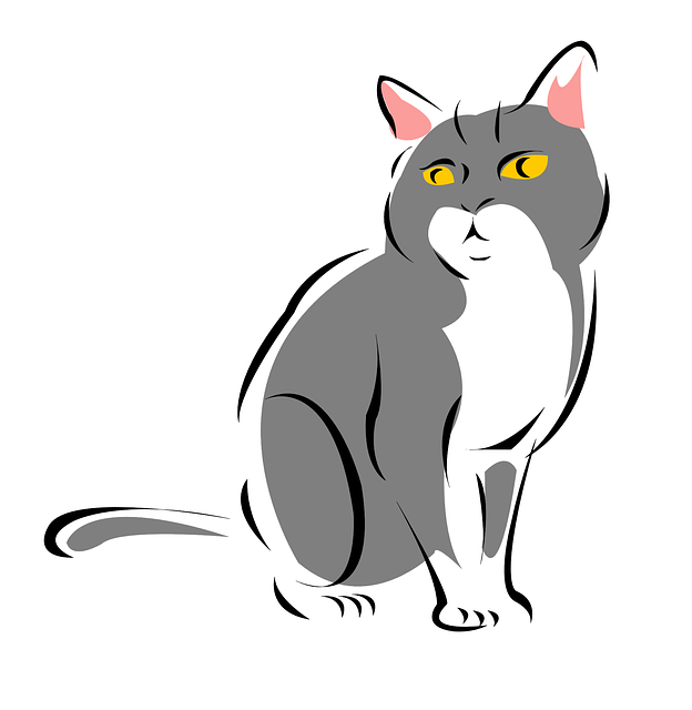 Pet Sitting