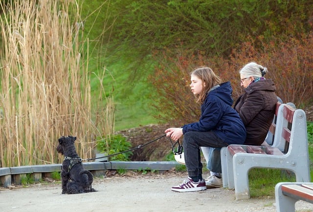 pet-sitting-640x480-68524245.jpeg