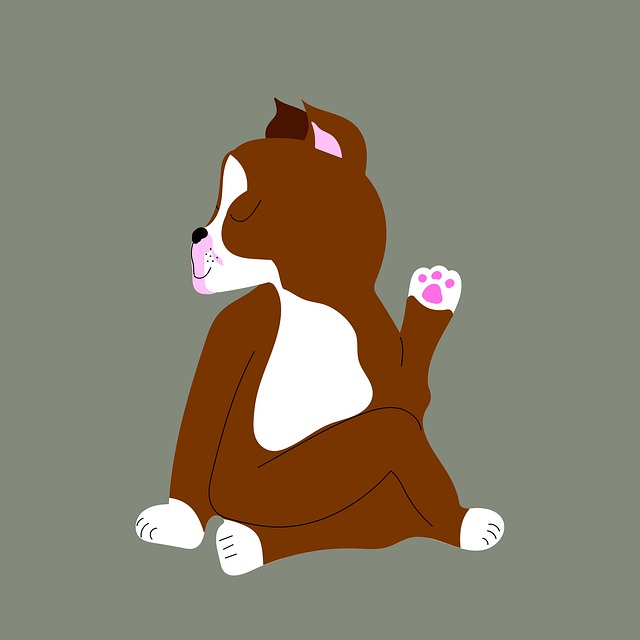 pet-sitting-640x480-70630072.jpeg