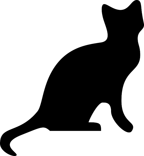 pet-sitting-640x480-72240774.png