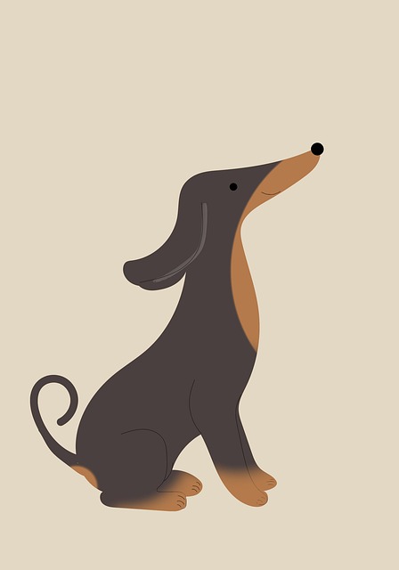 pet-sitting-640x480-73508901.jpeg
