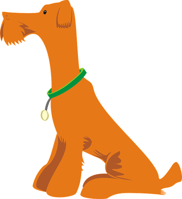 pet-sitting-640x480-80753475.png