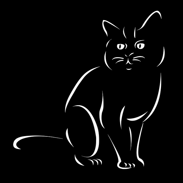 pet-sitting-640x480-81960248.png