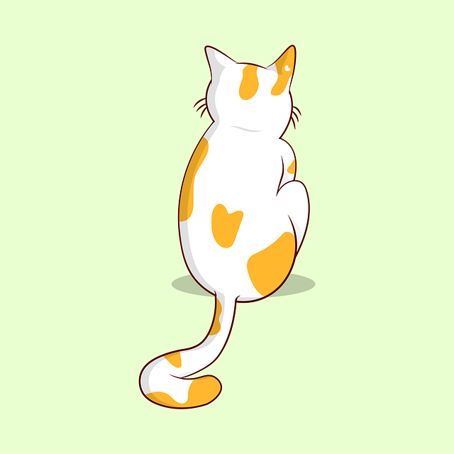 pet-sitting-640x480-8238018.png