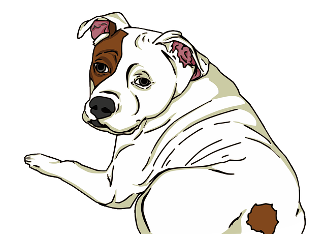 pet-sitting-640x480-936244.png