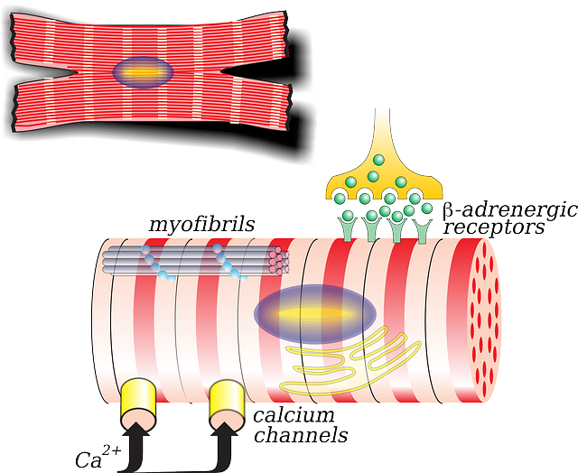 pinched-nerves-640x480-12062569.png