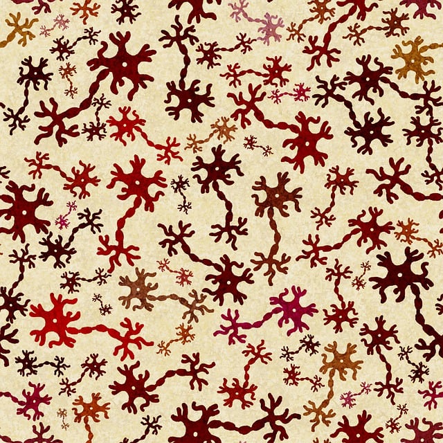 pinched-nerves-640x480-31065293.jpeg