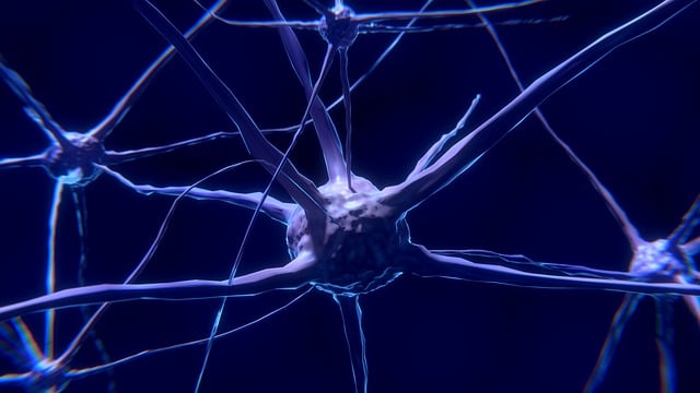 Pinched Nerves