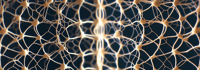 pinched-nerves-640x480-67602004.jpeg