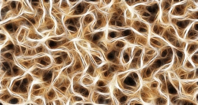 Chiropractic Care for Pinched Nerves After Traffic Accidents