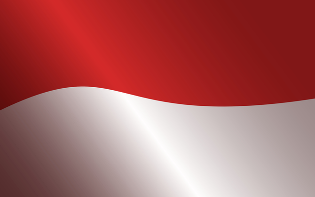 red-flags-and-chiropractic-care-640x480-20281715.png