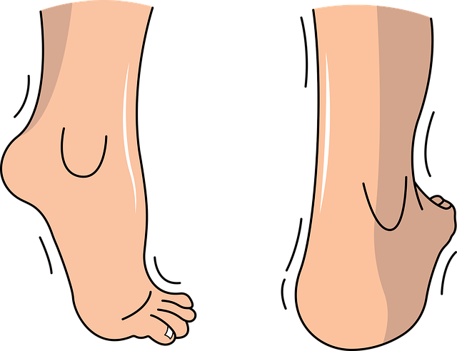 spinal-ligament-injury-chiropractor-640x480-6686114.png