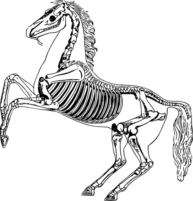 digital-motion-x-rays-640x480-31579612.png