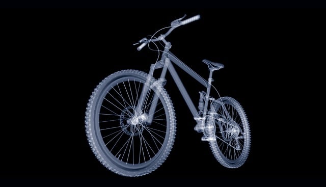 Digital Motion X-rays