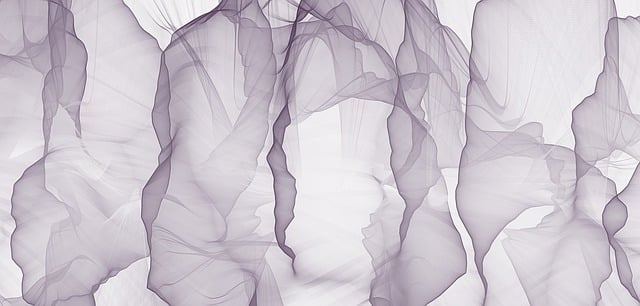 Digital Motion X-rays