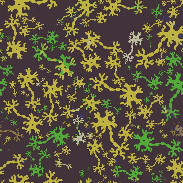 Pinched Nerves