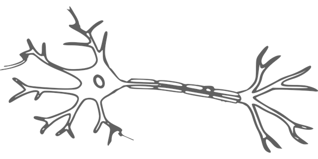 Pinched Nerves