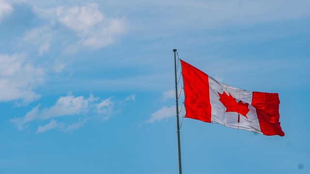 Red Flags and Chiropractic Care