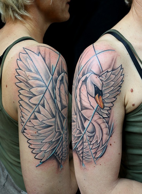 shoulder-pain-640x480-5406168.jpeg