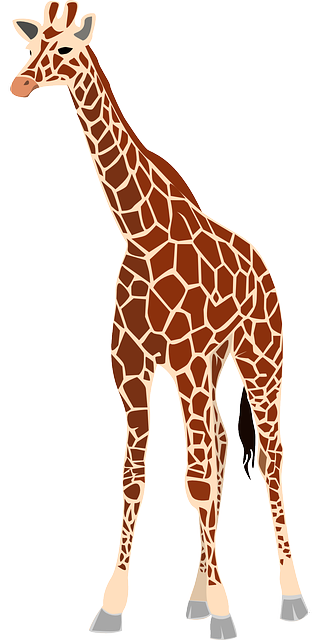 Stiff Neck