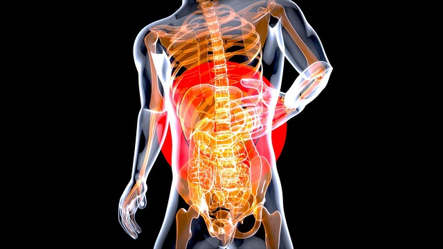 Digital Motion X-rays