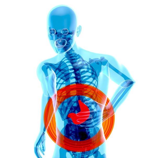 Digital Motion X-rays