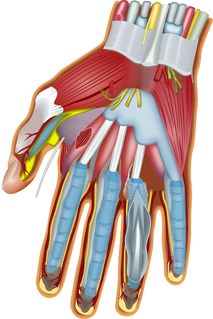 Pinched Nerves