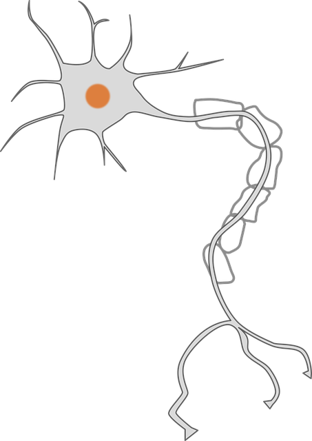 Pinched Nerves
