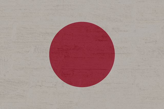 Uncovering Red Flags: Enhancing Chiropractic Diagnosis for Better Patient Care