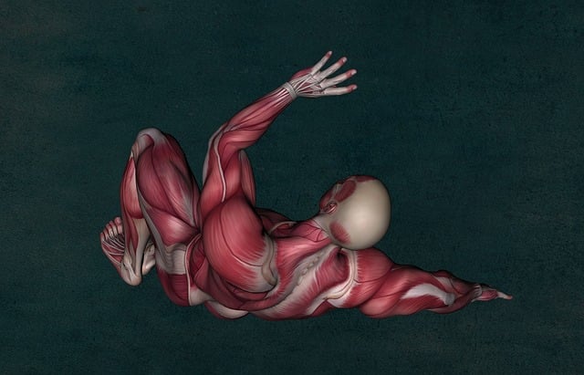 spinal-ligament-injury-chiropractor-640x480-27052368.jpeg