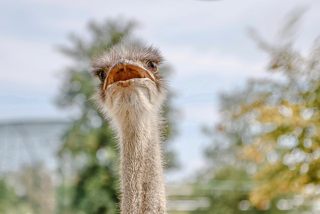 stiff-neck-640x480-52804845.jpeg
