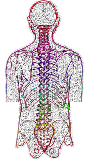Chiropractic Spinal Alignment