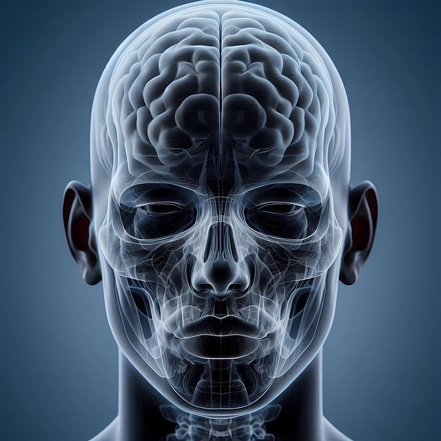 Digital Motion X-rays