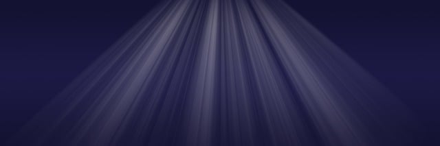Digital Motion X-rays