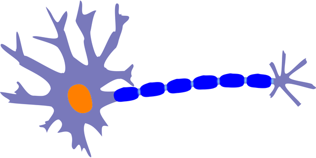 Pinched Nerves